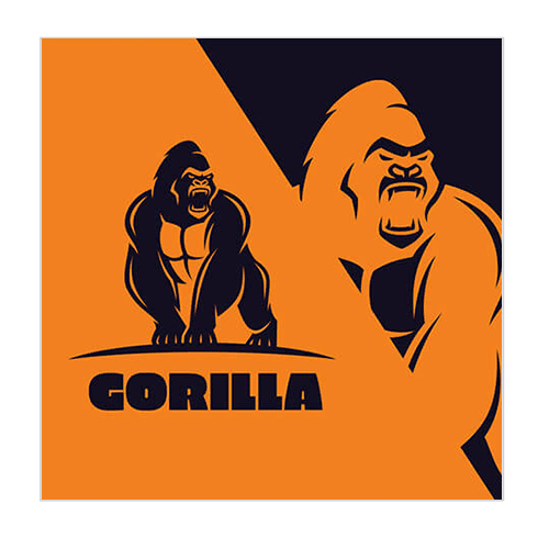 开云体育官方平台